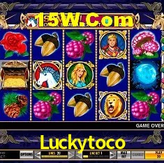 Sistemas de Segurança Luckytoco